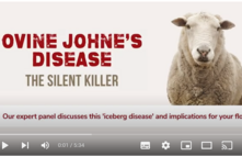 Johnes disease:  When should you vaccinate, and how