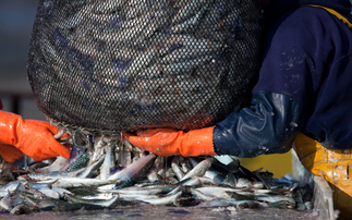 Study: Industrial fishing subsidies an 'unseen brake' on fish poo's carbon sink role