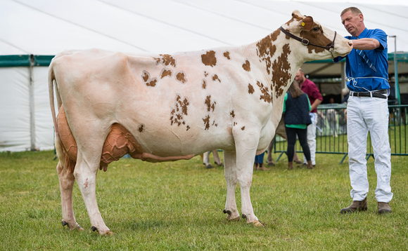 Ayrshire tops dairy championship at Northumberland