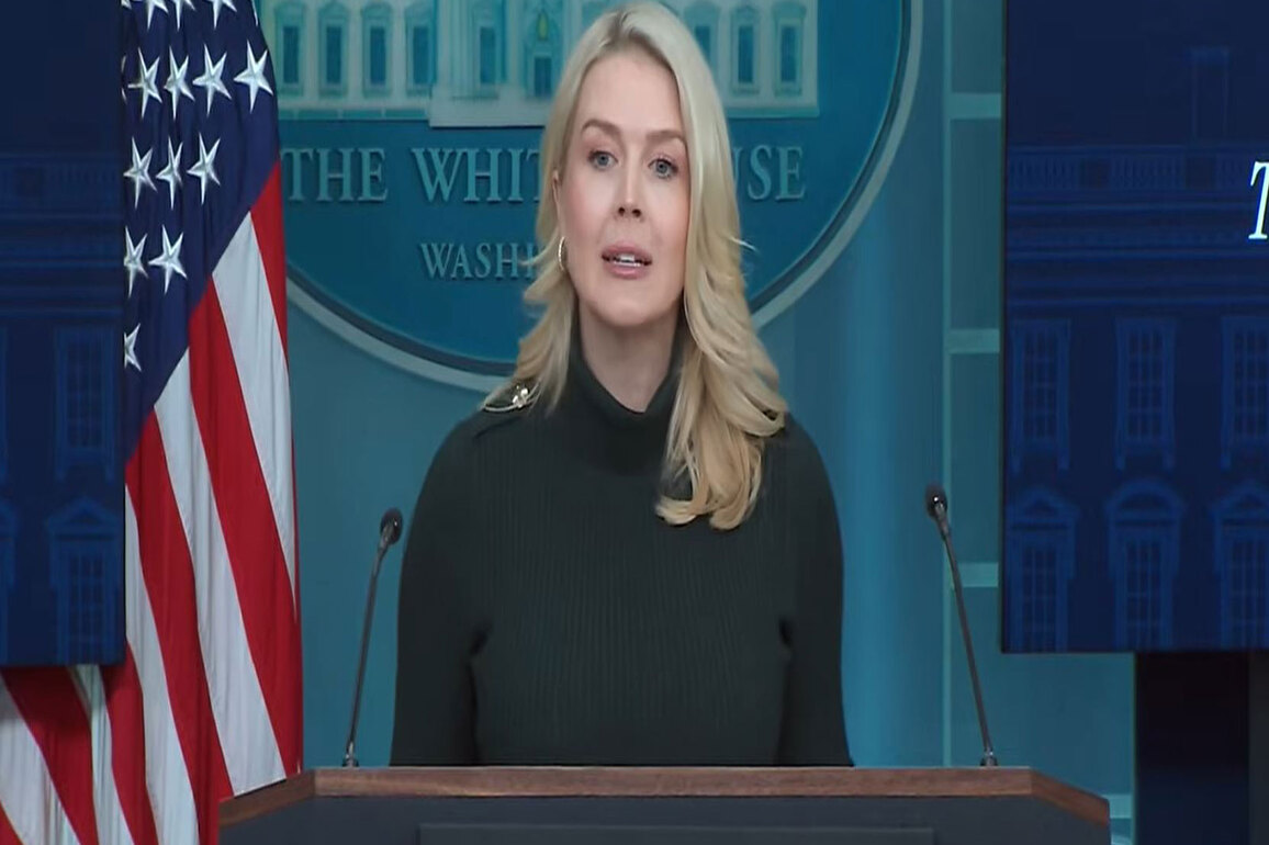 White House says FBI, DHS probing Minneapolis shooting as CBP launches internal review