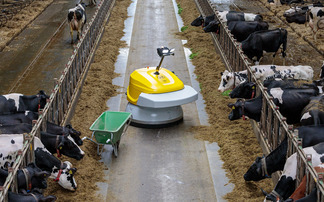 What you need to know about the FETF 2026 fund