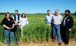 Durack oats a potential game-changer