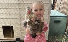 Clarkson invites 4-year-old entrepreneur to Diddly Squat following tragic egg stall destruction 
