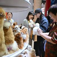 HainanOutlook | 6th CICPE opens for public visit in S China's Hainan