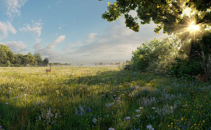 A render of Environment Bank's Emberton Habitat Bank in Buckinghamshire - Credit: Environment Bank