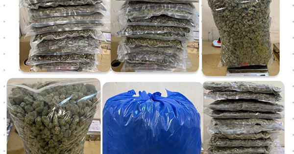 Thailand News - Business - News Image