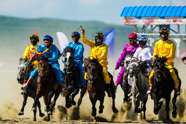 Modern roads pose no challenge to equine culture on China's western plateau