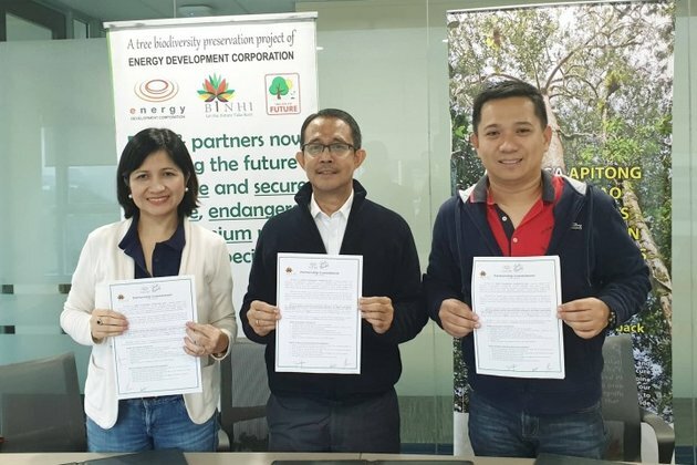 Endangered PH native trees to be grown in Looc, Romblon