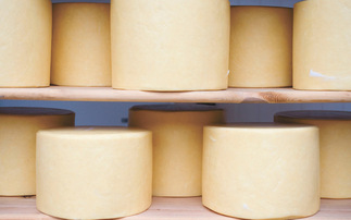 Will US tariffs affect cheese trade?