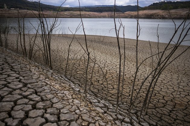 WHO warns of imminent extreme weather events