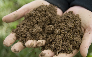 Project launched to monitor soil and root health