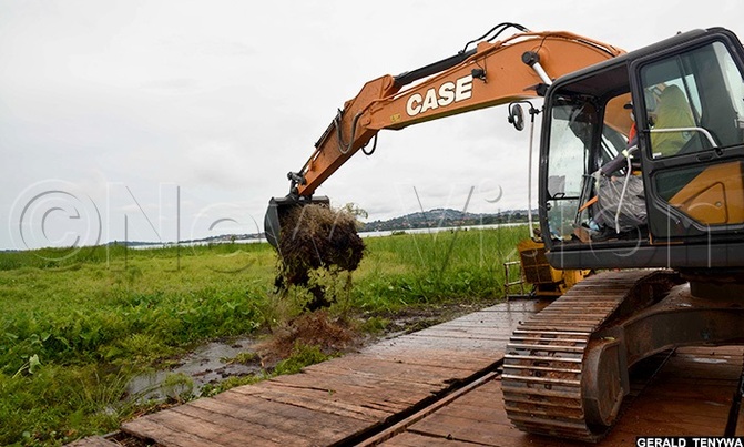Floating island threatening Portbell removed Floating island threatening Portbell removed