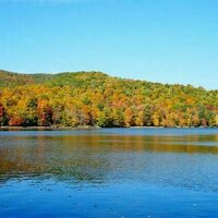 How environmental RNA can give us a real-time picture of freshwater biodiversity
