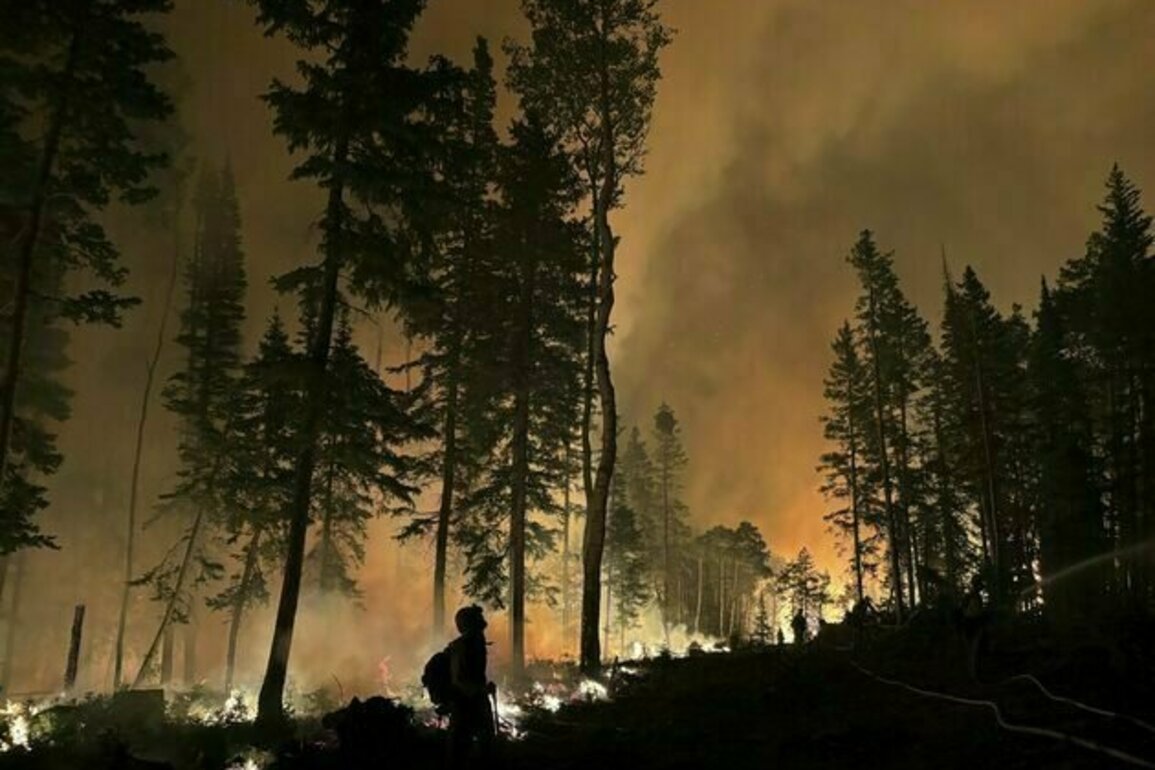 Boosting timber harvesting in national forests while cutting public oversight won't solve America's wildfire problem