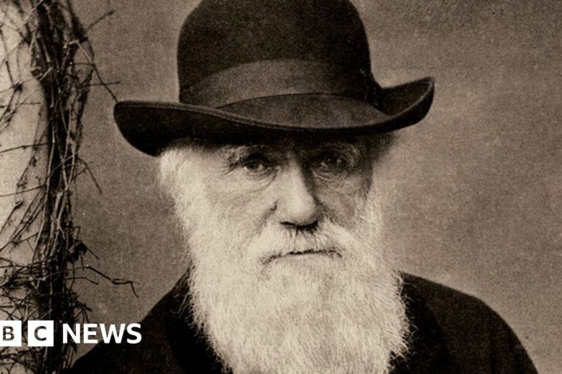 Cambridge collection among Darwin archives recognised by Unesco