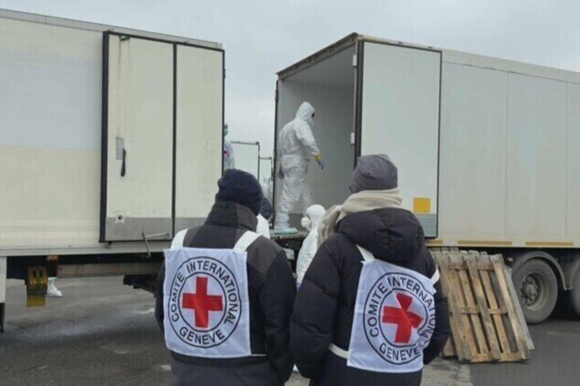 Russia and Ukraine repatriate remains of fallen soldiers 