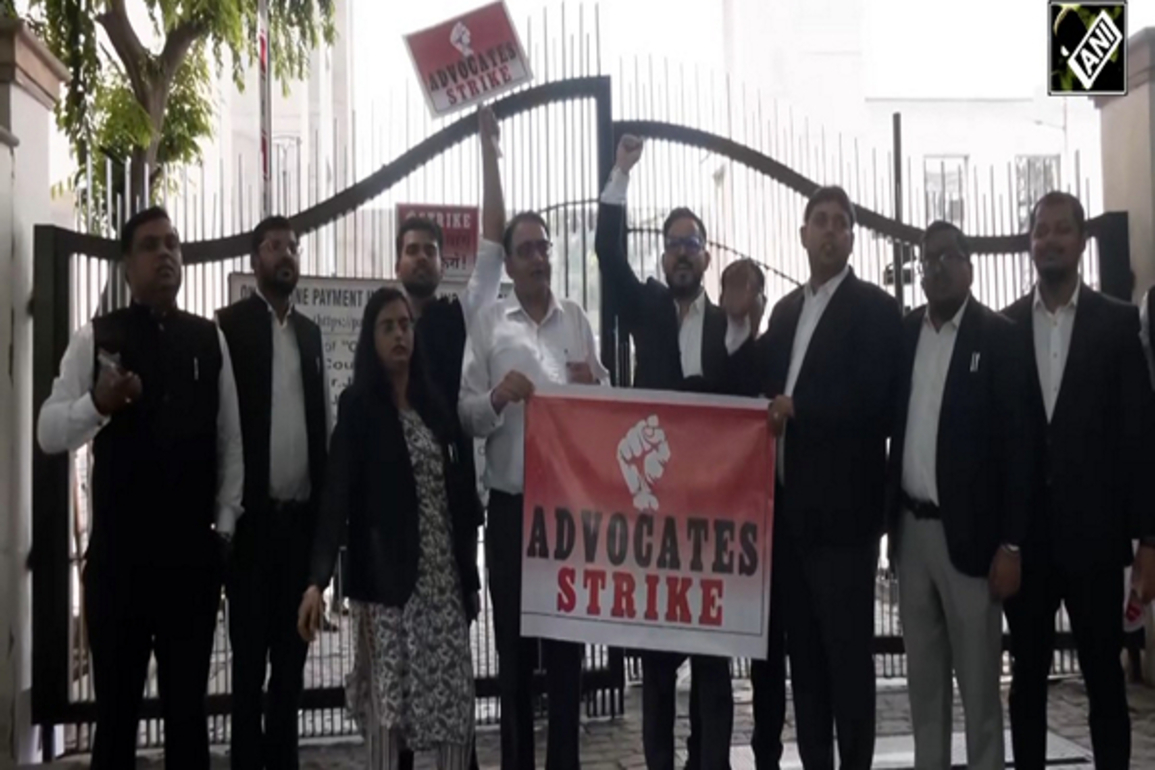 No concrete result of meeting with Delhi CM; lawyers' strike to continue