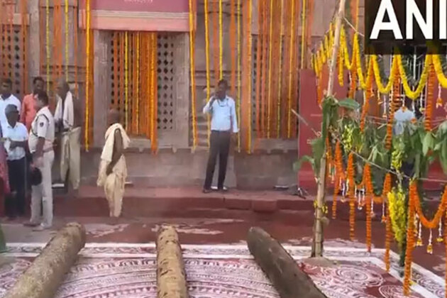 Odisha: Lord Jagannath's chariot construction begins for Rath Yatra
