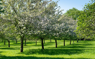 Growers given new regenerative farming framework
