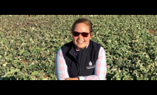  Annieka Paridaen is a new board member of FAR Australia. Image courtesy Premier Ag.