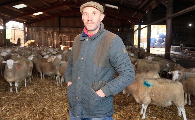 Council farm secures sheep milking set-up