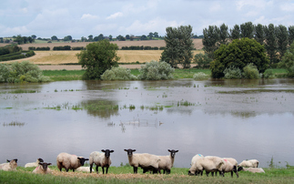 UK urged to prepare for autumn of flood risks - and droughts 