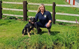 BFA winner's community-focused initiative bridges the gap between urban and rural lifestyles