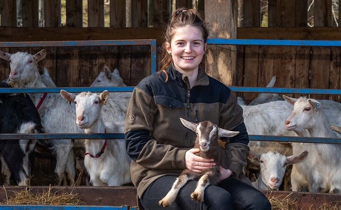 Goat venture thriving on Cumbrian upland farm