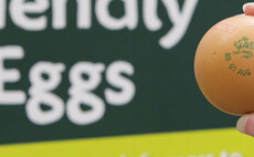 Morrisons hatches plan for 'carbon neutral' eggs
