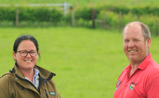 First generation farmers enjoy success with high performance Herefords