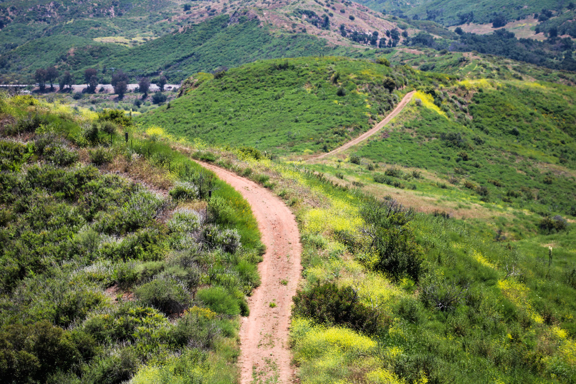 Free Things to Do- Scenic Hikes, Movie Screenings and Teen Events in OC