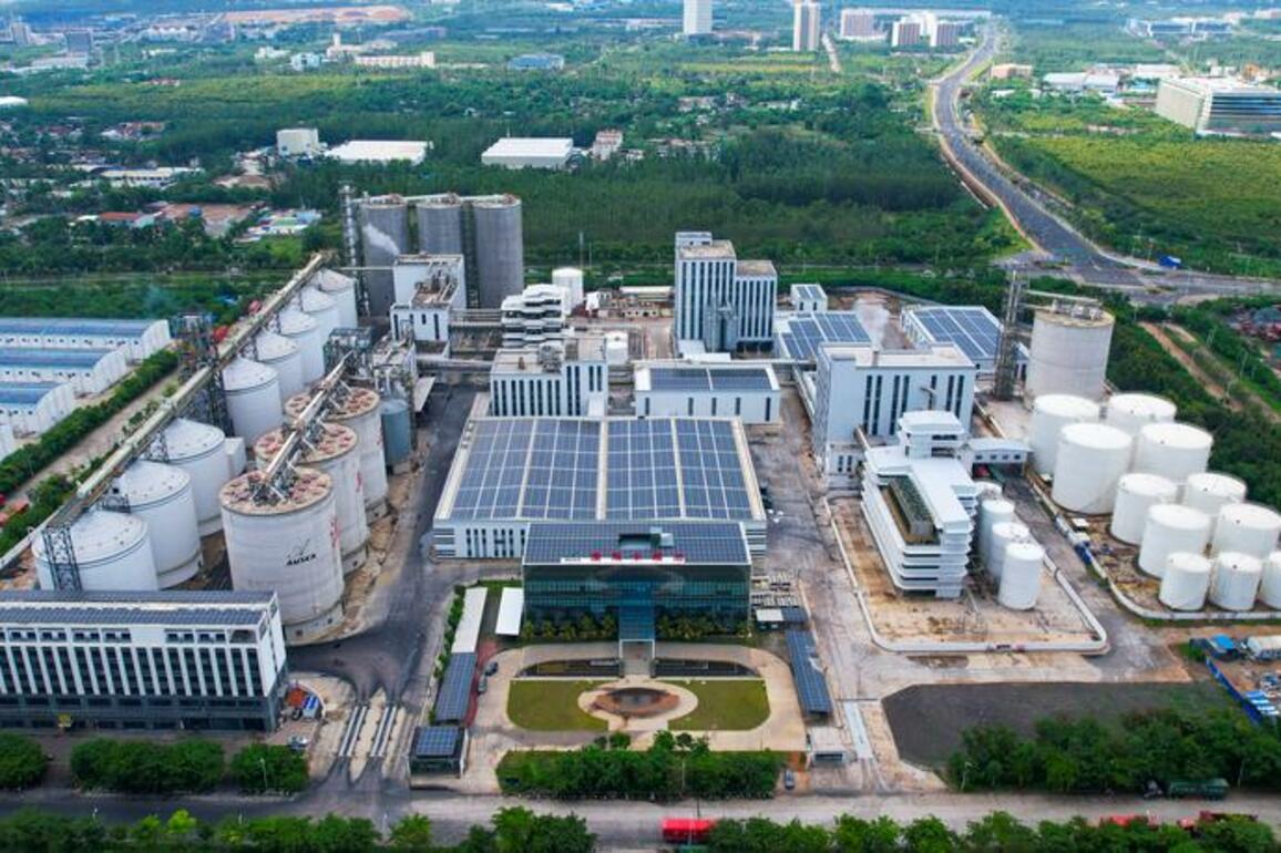 EconomyInFocus | Hainan Free Trade Port: Favorable policies power industrial development