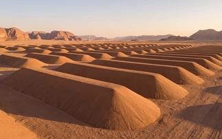 How Sequest is pioneering 'hyper-arid biomass storage' as a form of carbon removal