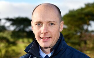 View from the Rostrum - Grant Anderson: "Trade for both prime and store cattle continues to show momentum"