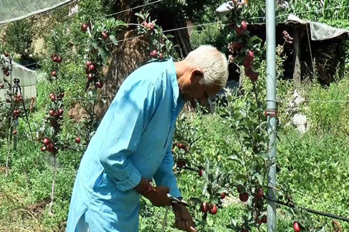 J-K: Centre-sponsored scheme MADS transforms lives of orchard farmers in Bhaderwah