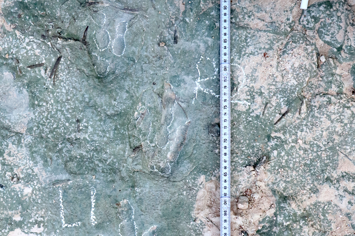 CHINA-HEBEI-XUANHUA-DINOSAUR FOSSIL TRACKS-DISCOVERY (CN)