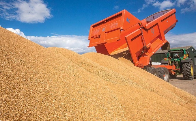 Global stockpiling sees wheat prices hit £175 per tonne