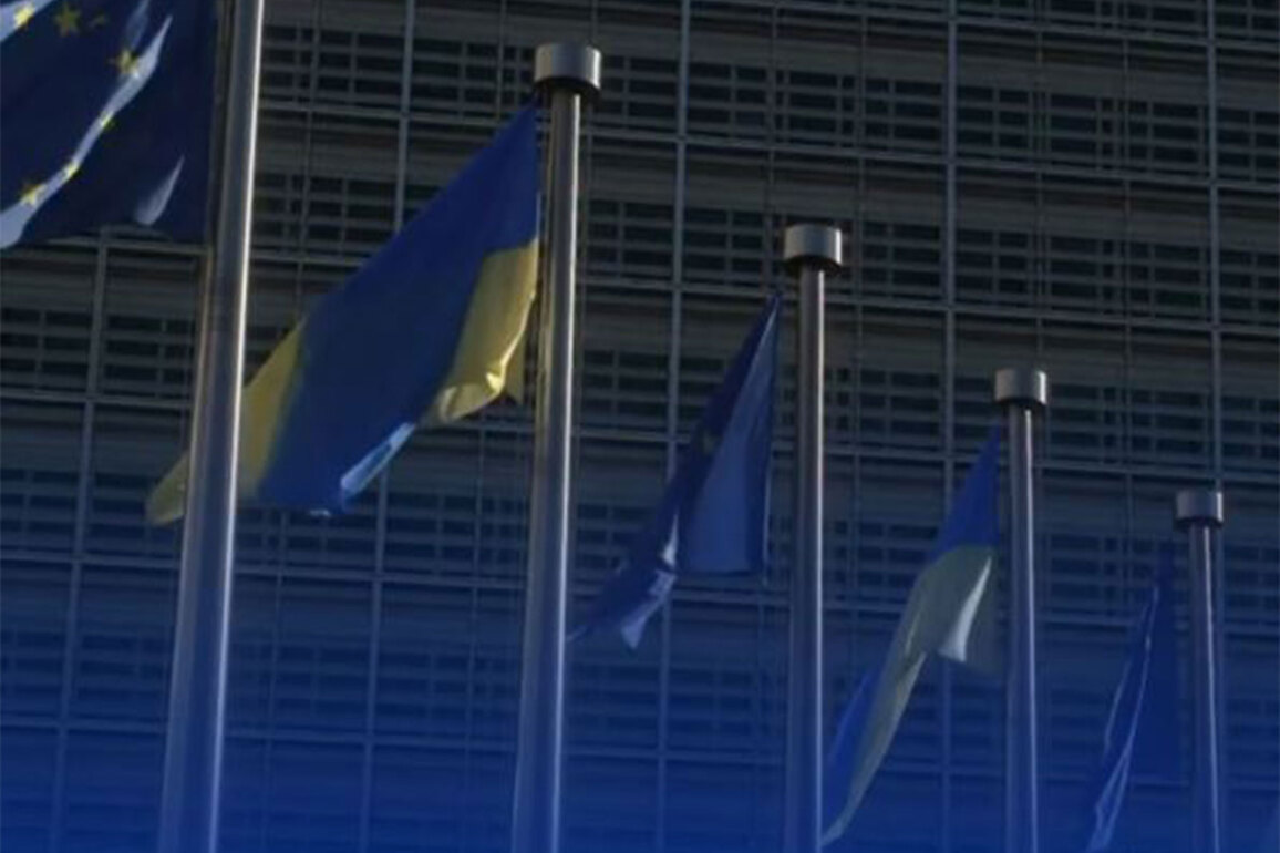 European leaders back Trump's Ukraine ceasefire position