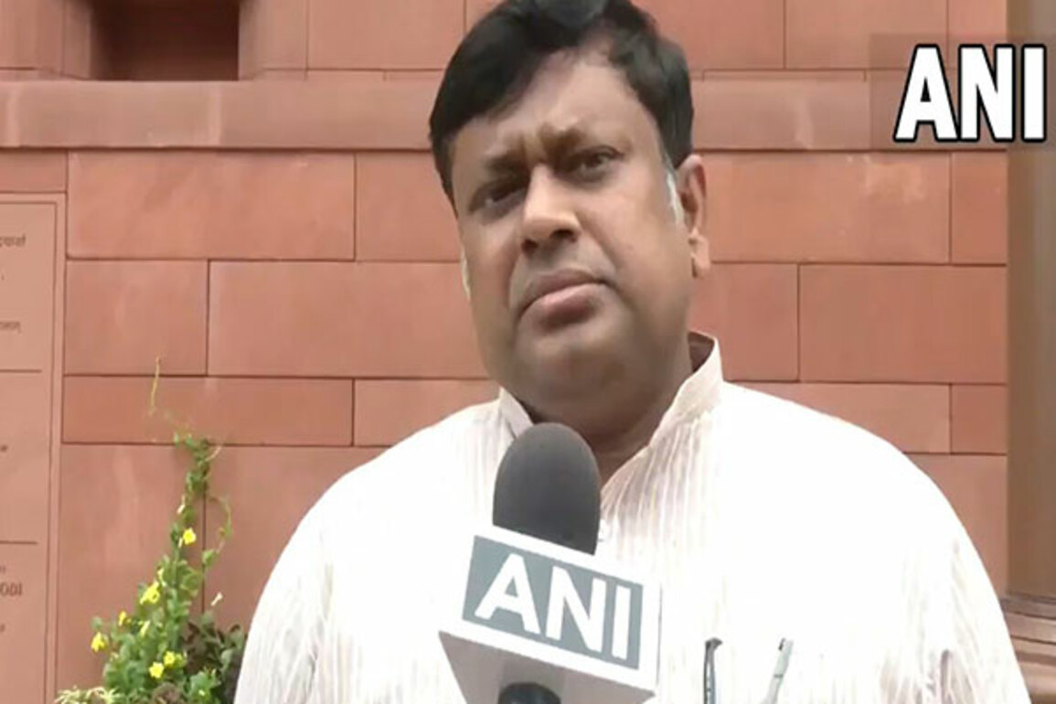 "Defence Minister presented kind of 'audit report' before nation": Sukanta Majumdar on Op Sindoor discussion in LS