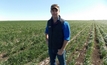 Mitch promises wheat yield kick