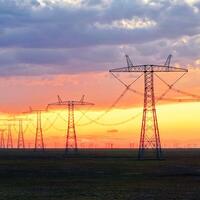 China's energy shift fuels partnership opportunities: British business leader