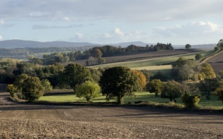 Minister reiterates no-change stance on APR and BPR proposals