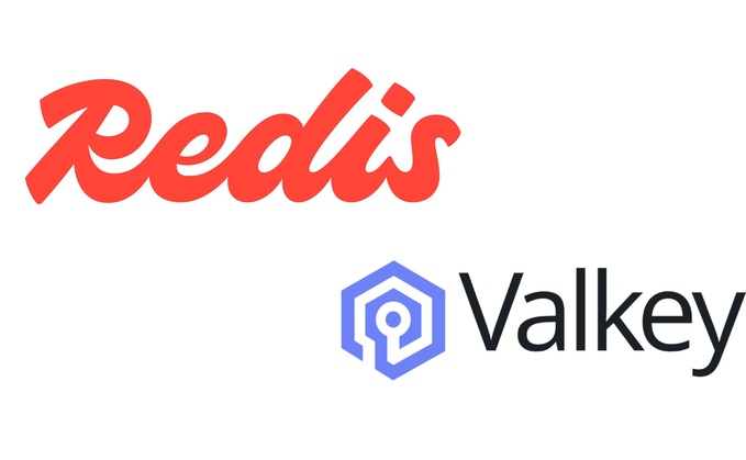 Database dust-up: Are Redis users switching to Valkey?