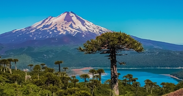 Cobre raising cash for Chilean copper ground