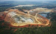 Gold miners gain strength from culling