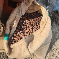 Assam Rifles seizes illegal consignment of Betel Nuts worth Rs 1.7 crore in Manipur