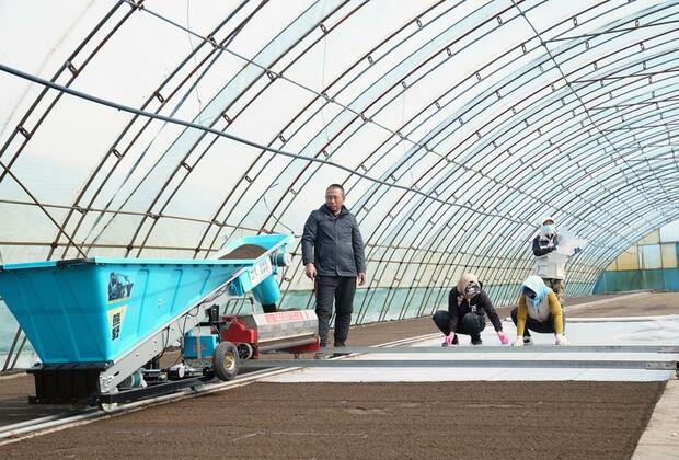 GLOBALink | Farming activities in full swing across NE China's Heilongjiang