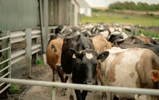 Partner Insight: Winter slurry planning can deliver year-round gains for farms 