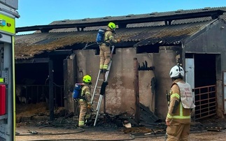 Cows spared harm as crews tackle barn fire in Bude