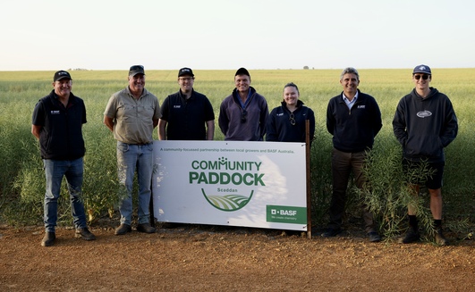 BASF has spread its Community Paddock program to Western Australia with a canola crop near Scaddan.